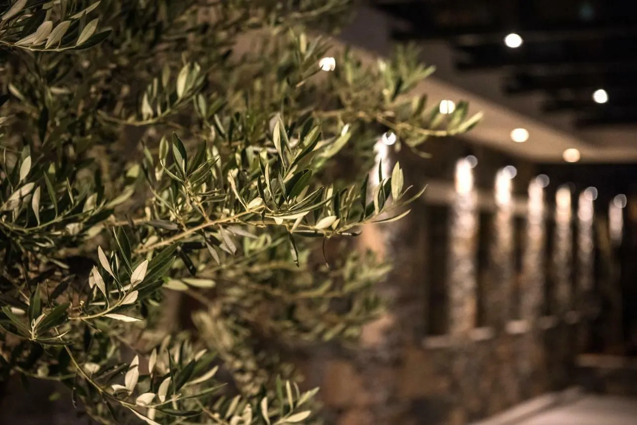 Petousis Hotel & Suites Amoudara